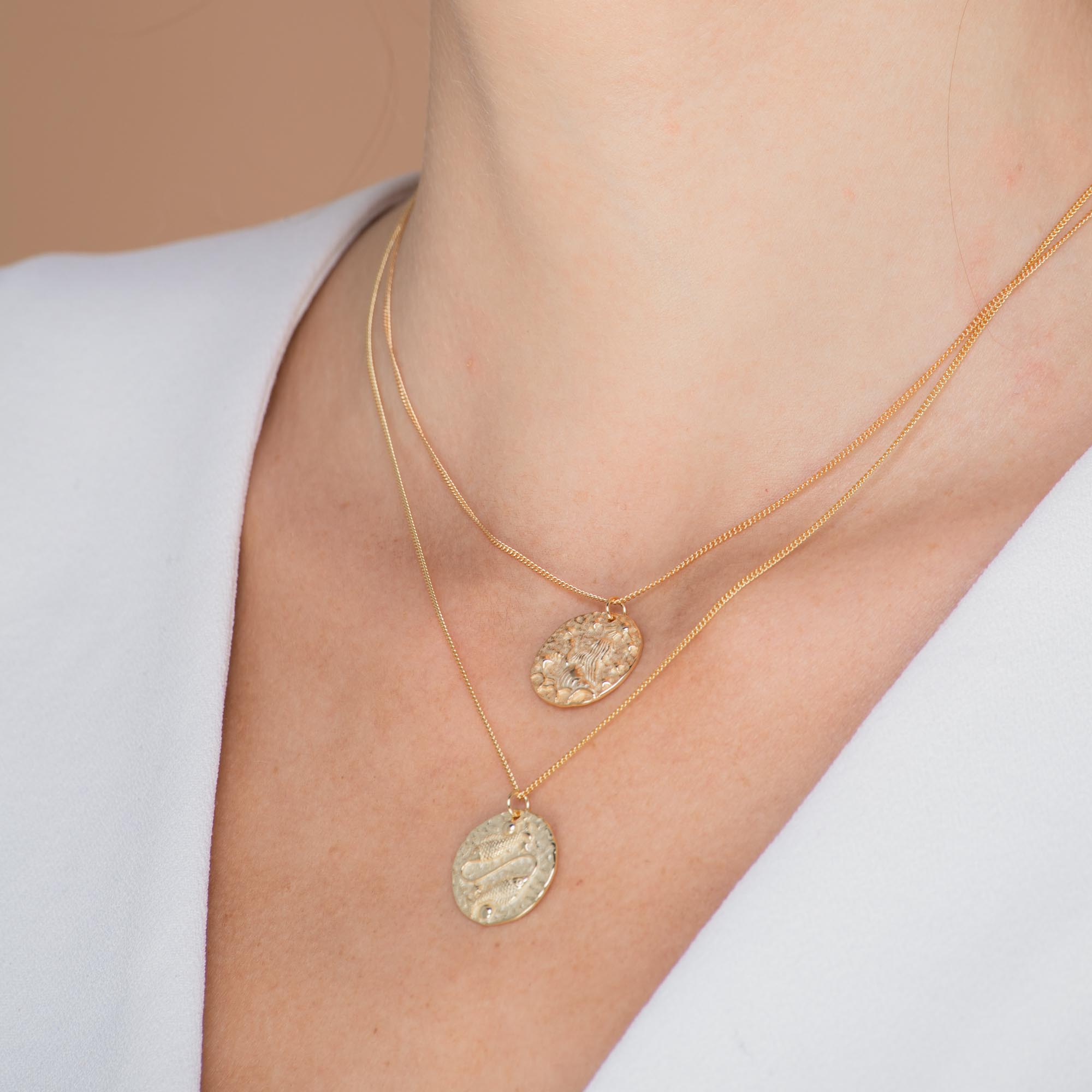 Pisces - Star Sign Necklace
