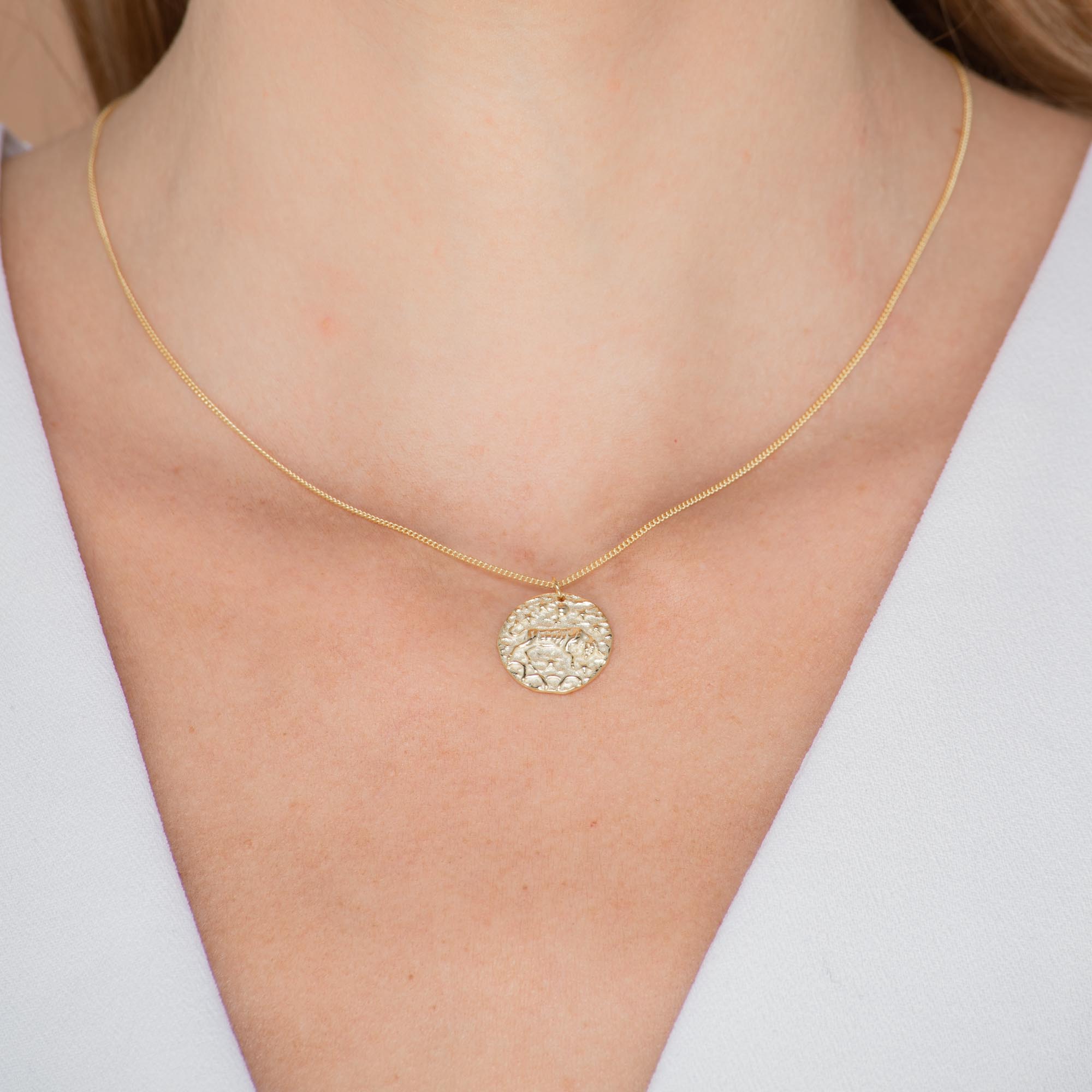 Taurus - Star Sign Necklace