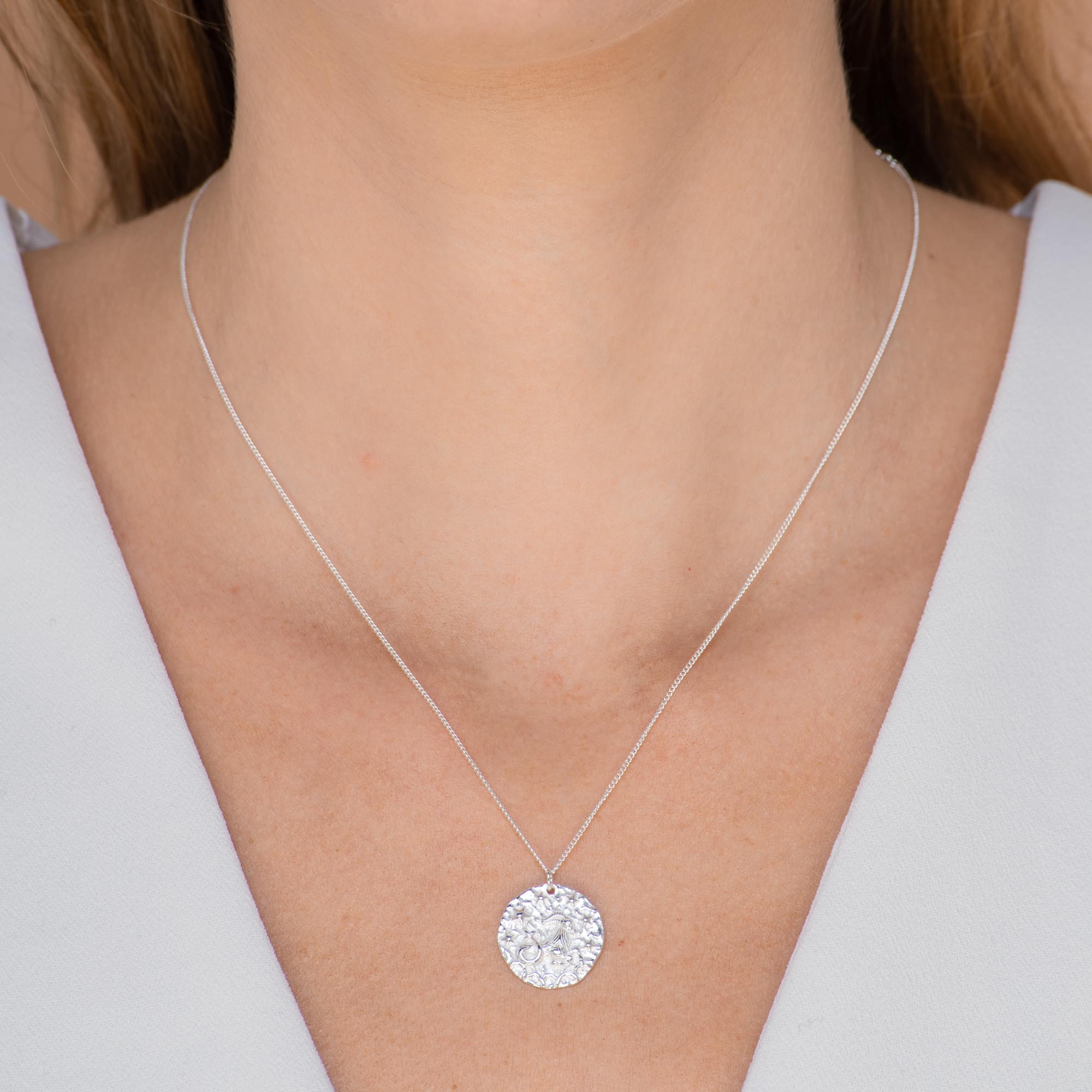 Capricorn - Star Sign Necklace