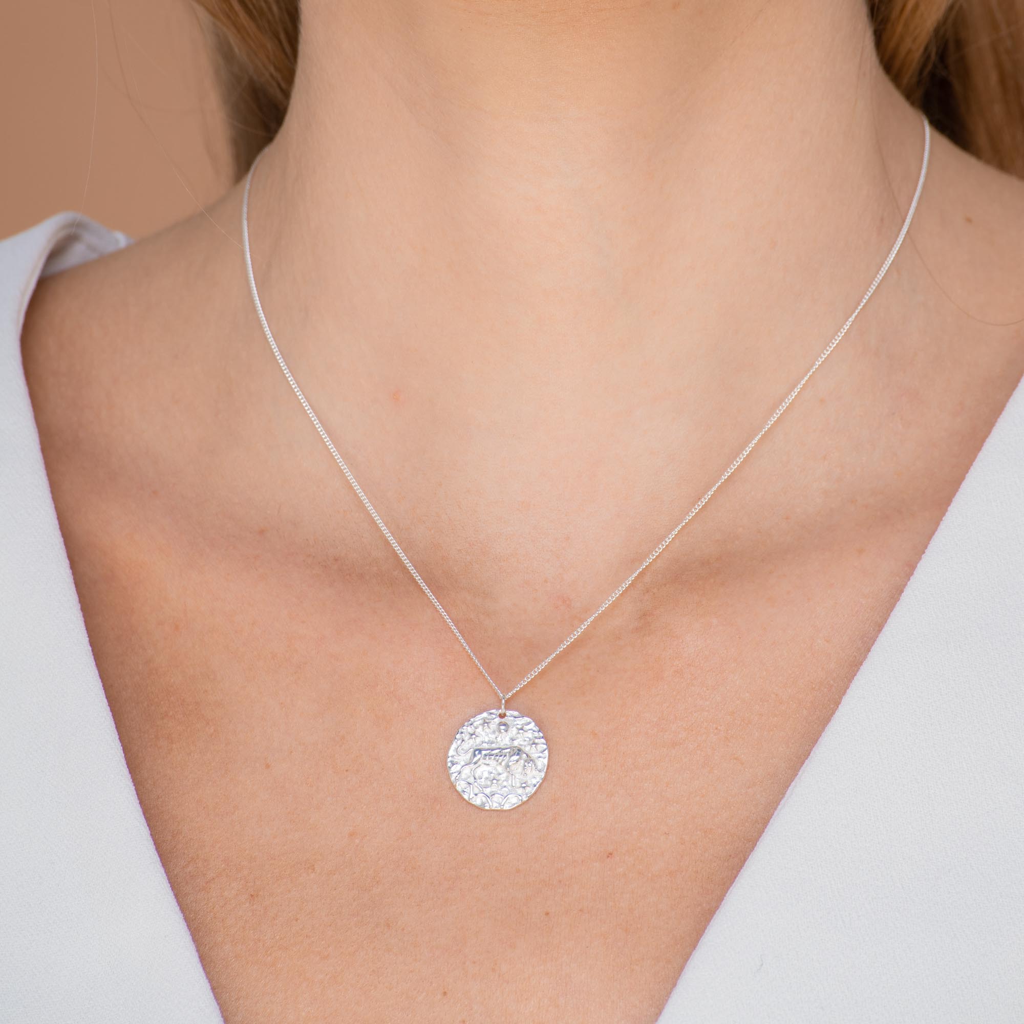 Taurus - Star Sign Necklace