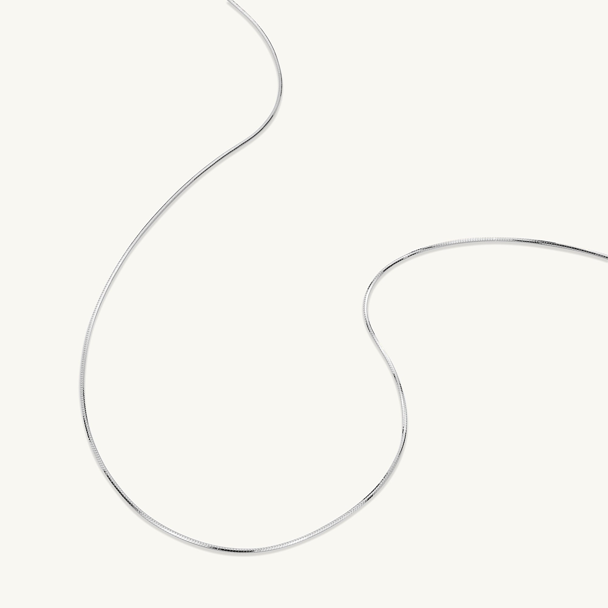 Snake Chain Necklace