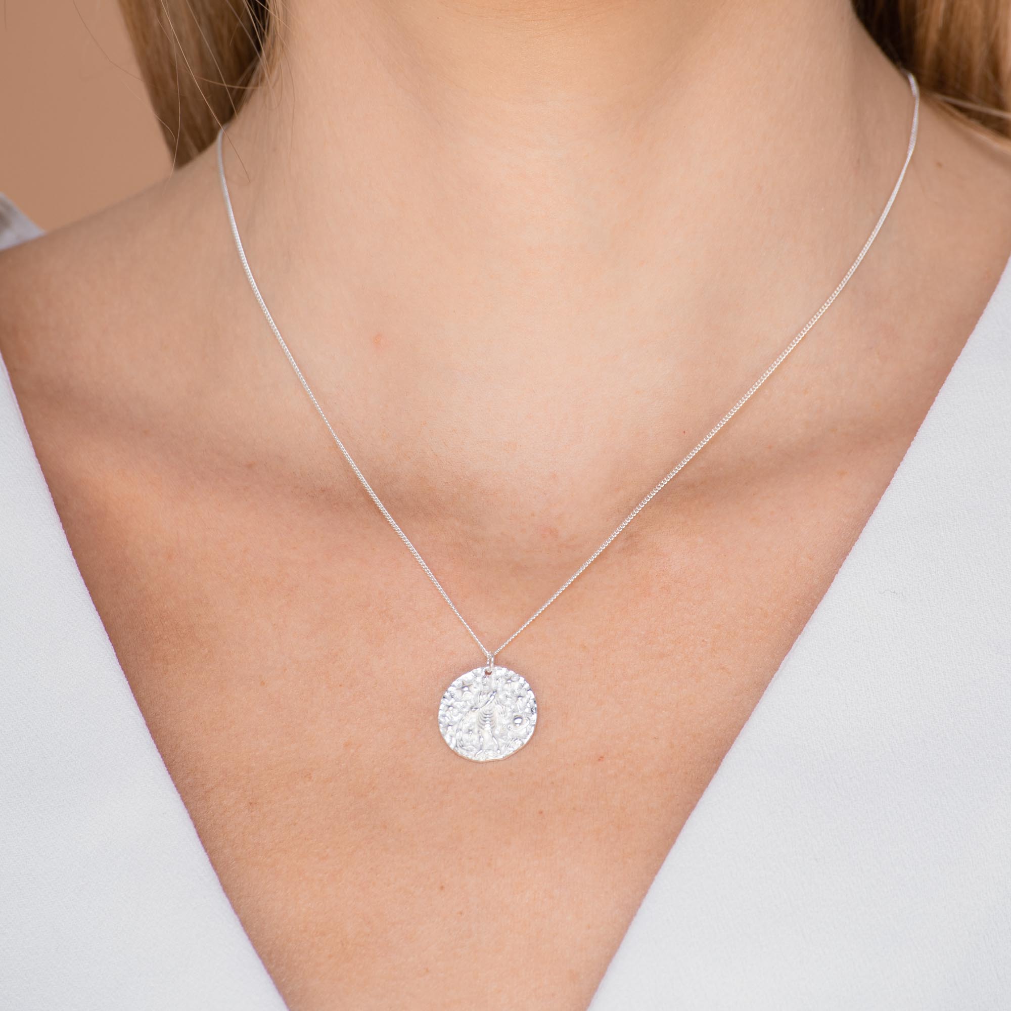 Aquarius - Star Sign Necklace - Camile & Stone