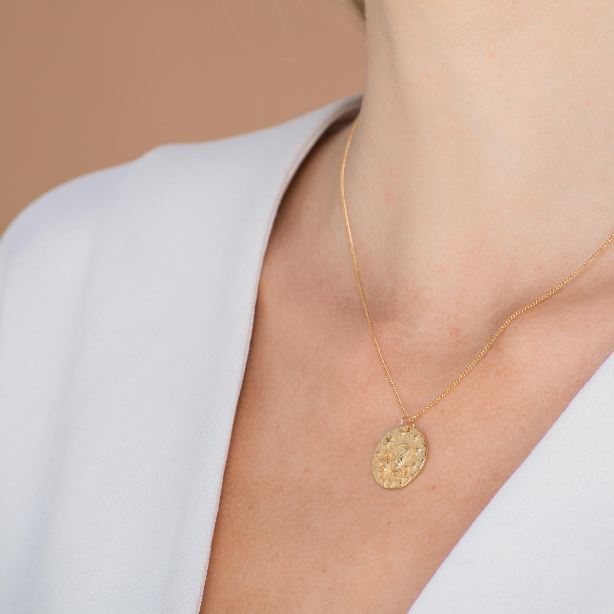 Capricorn - Star Sign Necklace - Camile & Stone