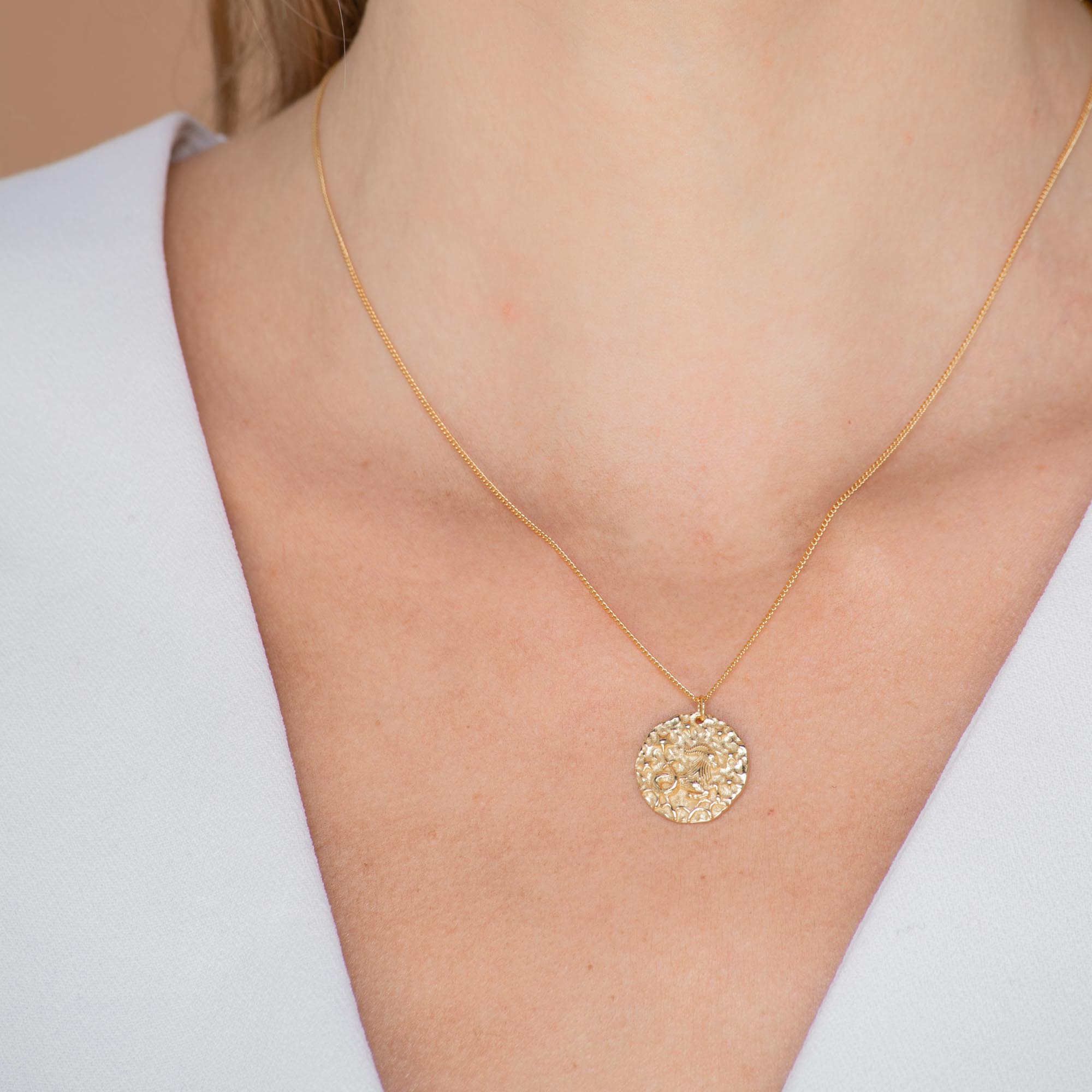 Capricorn - Star Sign Necklace - Camile & Stone