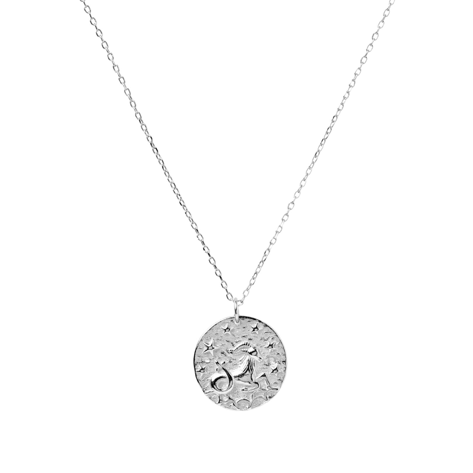 Capricorn - Star Sign Necklace - Camile & Stone