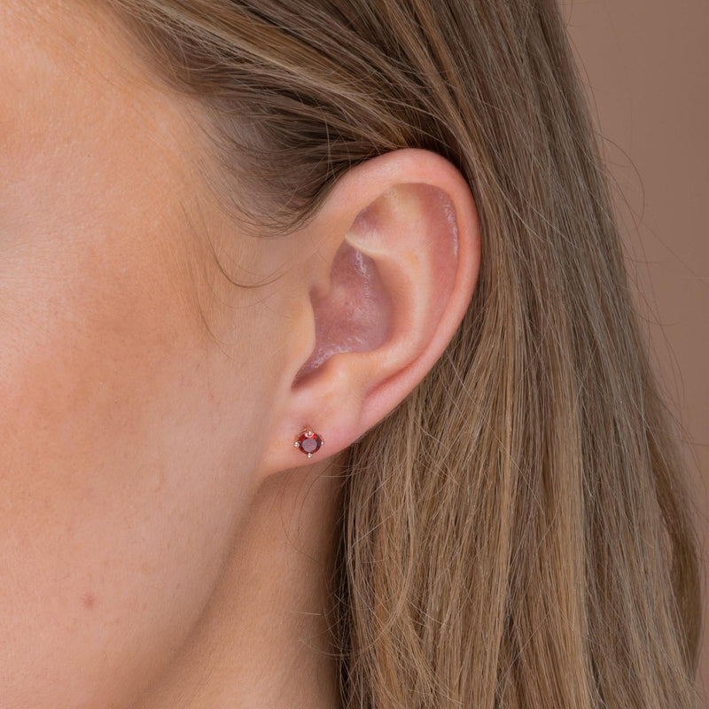 Classic Birthstone Earrings January
