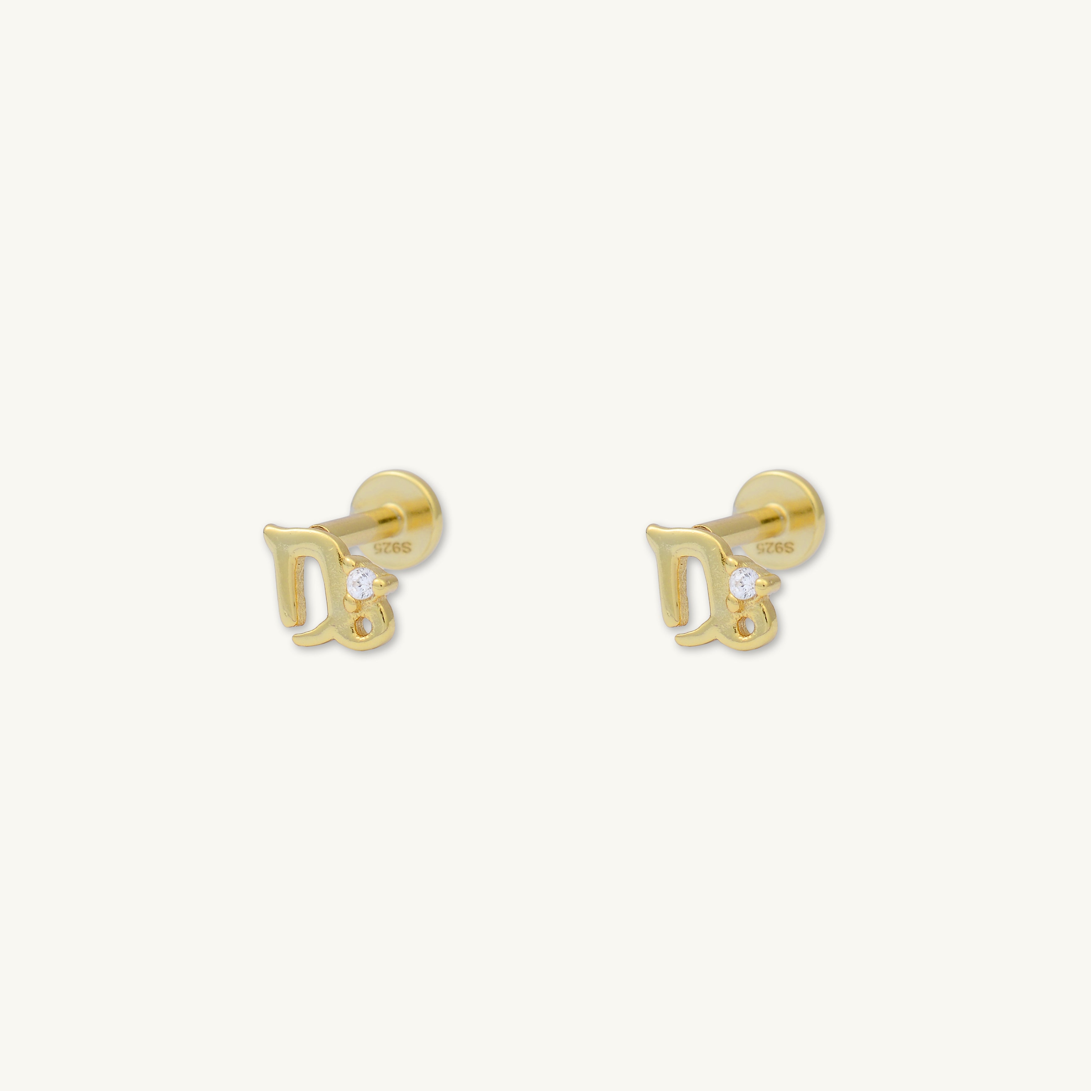 Capricorn Zodiac Star Sign Flat Back Earrings