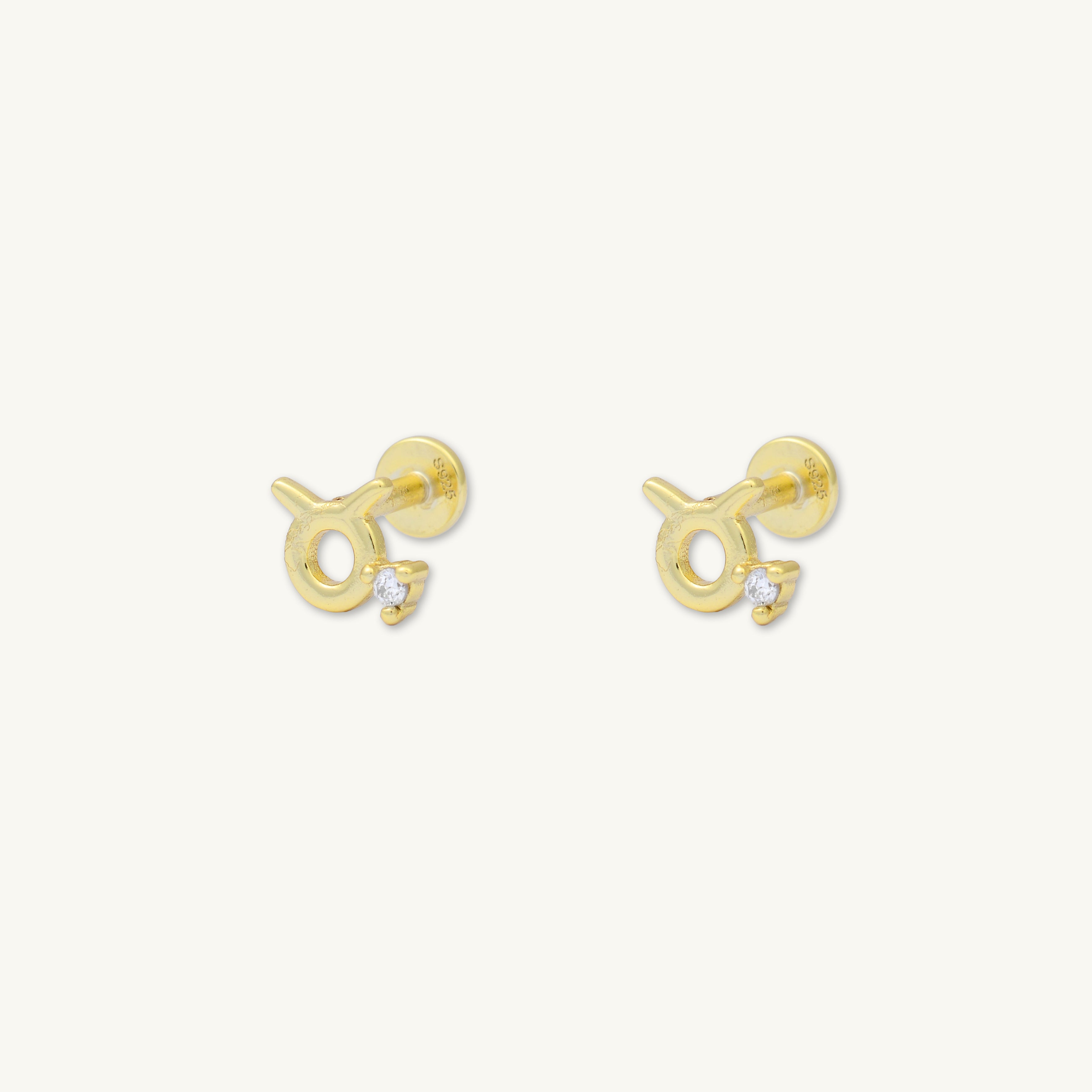 Taurus Zodiac Star Sign Flat Back Earrings