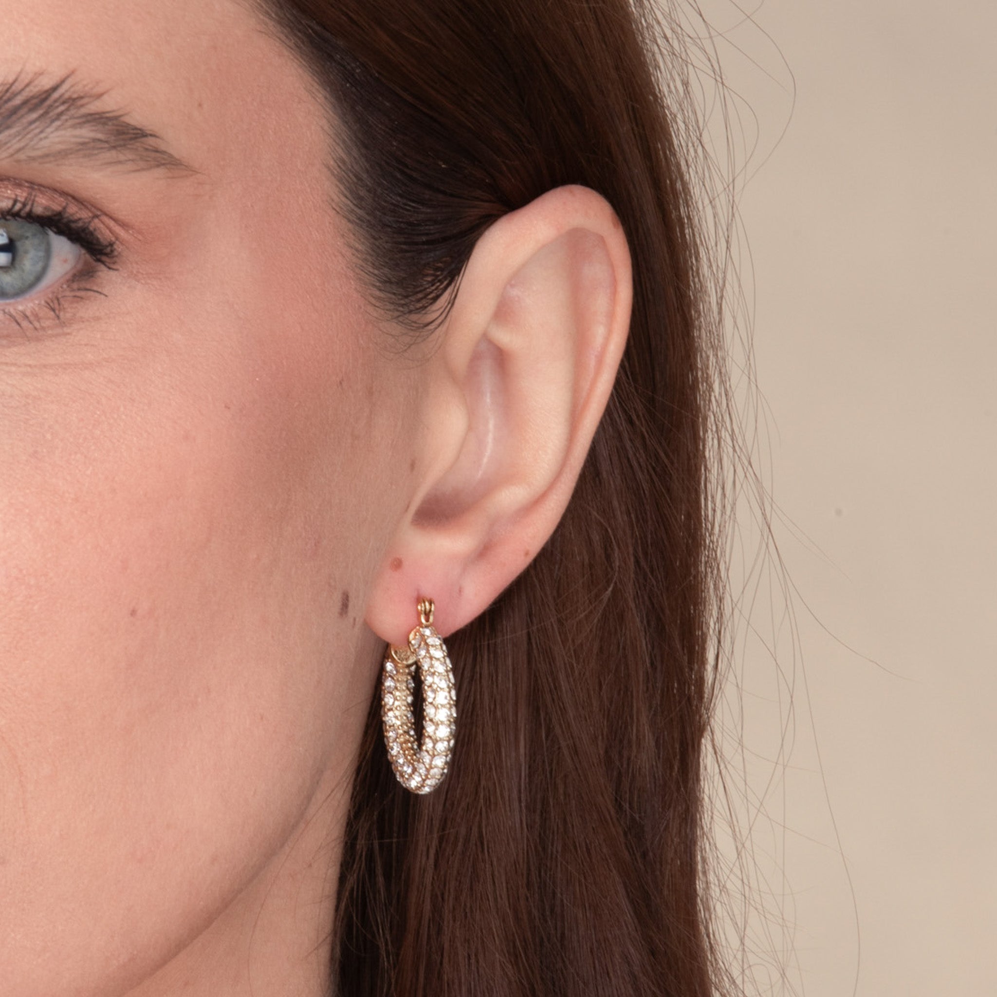Alessia Zirconia Hoop Earrings