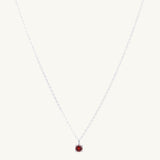 Classic Birthstone Necklace January