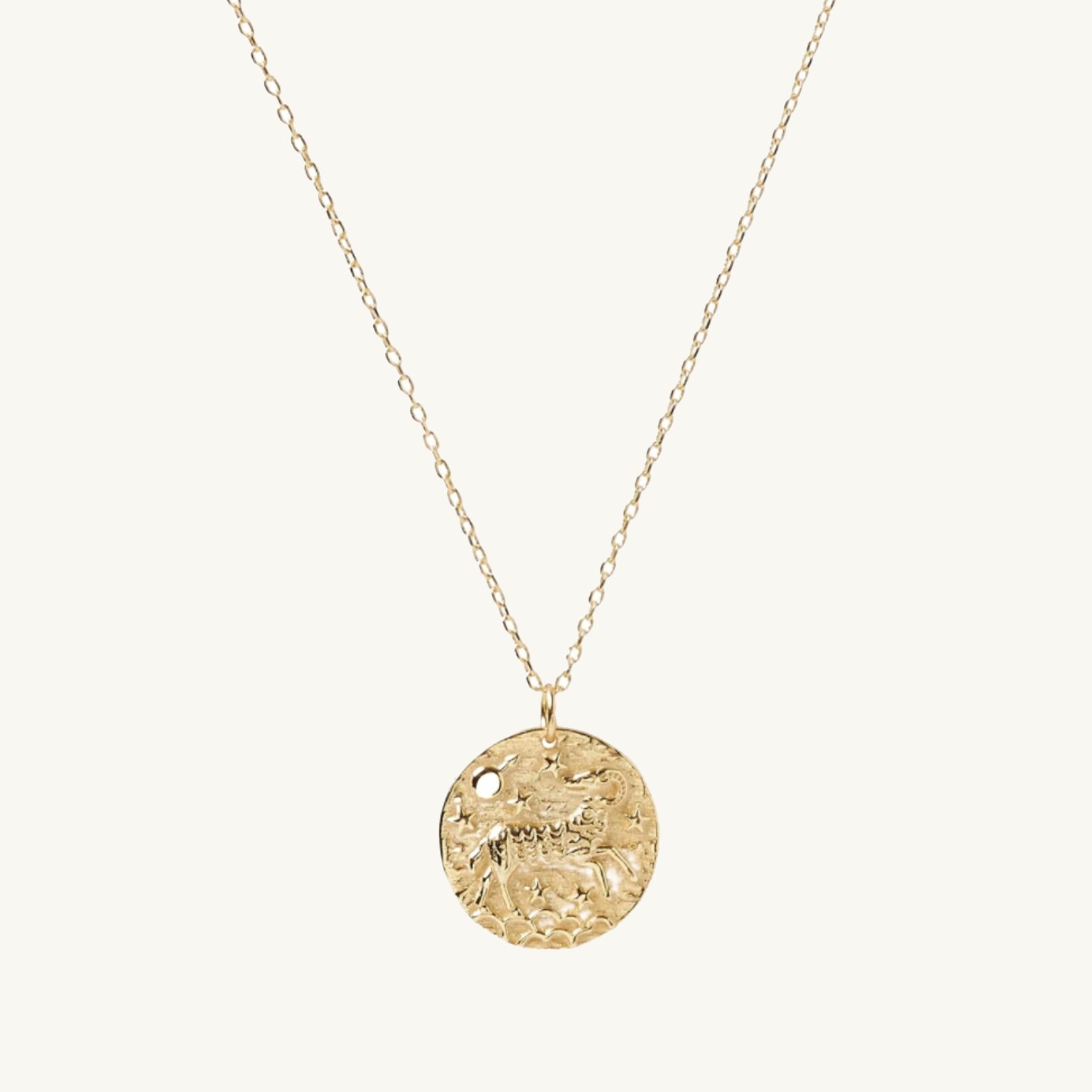 Aries - Star Sign Necklace - Camile & Stone